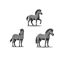 Zebra Standing Vector Silhouette Set

Black and White Zebra Standing Poses

Minimal Zebra Silhouettes Collection