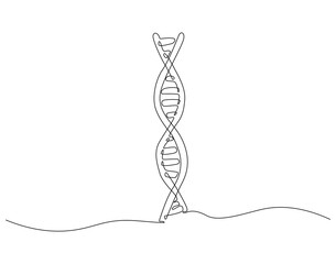Fototapeta premium Continuous line drawing of DNA. Single line illustration of human DNA. Science and biology concept. Editable outline