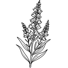 Fototapeta premium hand drawing flower outline