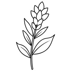 Obraz premium hand drawing flower outline