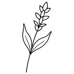 Obraz premium hand drawing flower outline