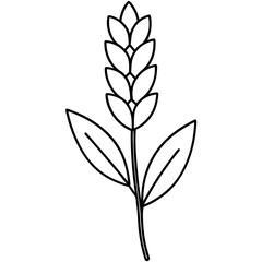 Fototapeta premium hand drawing flower outline