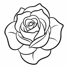 hand drawn rose flower outline illustration 