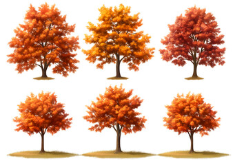 Autumn tree yellow,  orange colors png element set on transparent background, PNG
