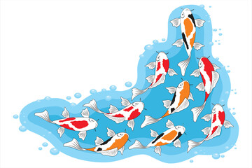 Vector illustration of Koi fish. Group of koi fish swimming in water