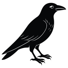 crow isolated on white, crow vector illustration, pet vector art, crow silhouette, animal vector icon, crow line art, eps