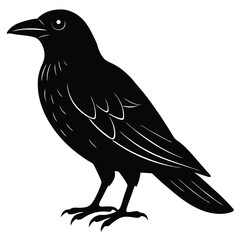crow isolated on white, crow vector illustration, pet vector art, crow silhouette, animal vector icon, crow line art, eps