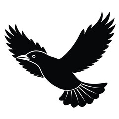 Dove Silhouette Vector