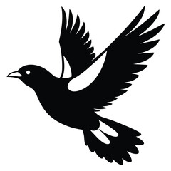 Mayna bird silhouette vector style with white background.