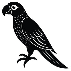 Parrot bird silhouette vector design