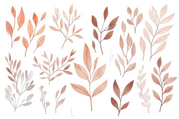 an array of stylized botanical illustrations showcasing various leaves and branches in warm earthy tones the design is ideal for graphic resources or decorative purposes