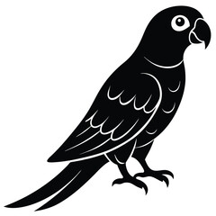 Parrot bird silhouette vector design