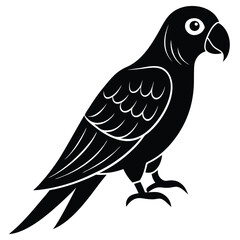 Fototapeta premium Parrot bird silhouette vector design