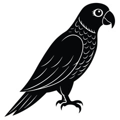Parrot bird silhouette vector design
