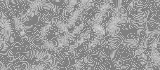 White topology and topography vector design abstract background contour map texture for print works . black curve line background with wave shape vector illustration.
