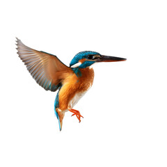 Fototapeta premium Kingfisher hovering with spread wings, vibrant plumage visible, isolated on transparent background