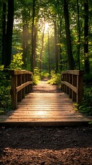 Fototapeta premium Wooden bridge leads to sunlit forest path. Lush greenery with sun rays shining