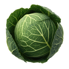 Fototapeta premium Fresh Green Cabbage with Leafy Layers Isolated on White Background