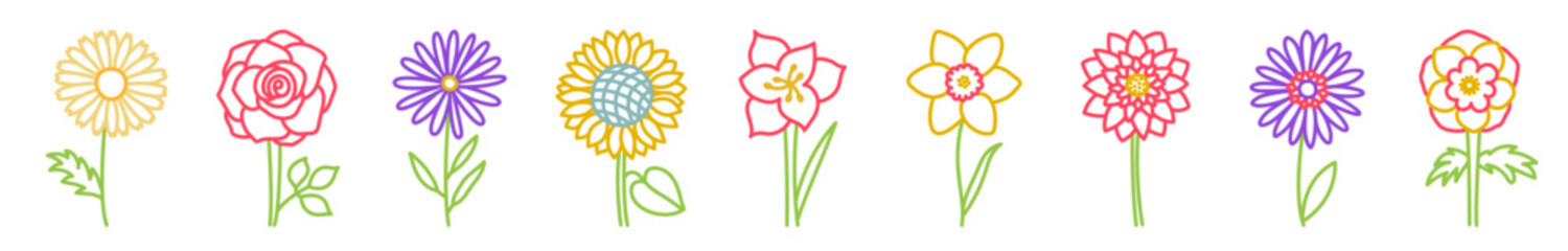 Flower vector colorful outline set. Hand drawn sketch floral collection. Types of flowers. Chamomile, rose, sunflower, aster, amaryllis, daffodil, anemone, lotus, lily and gerbera