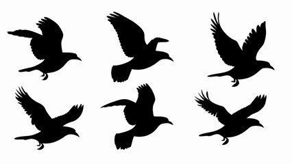 Flock of flying birds silhouette vector on white background