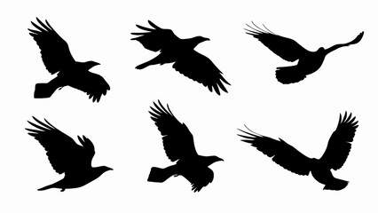 Flock of flying birds silhouette vector on white background