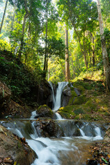 Obraz premium A small waterfall flowing through moss-covered rocks in a lush tropical forest, lit by soft morning sunlight. Ideal for nature and travel theme.