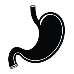 Vector illustration of a human stomach, Human vector art, Human organ