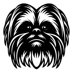 Majestic Shih Tzu Portrait in Black and White, An Elegant Silhouette