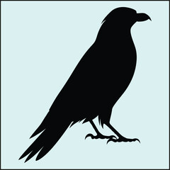 Fototapeta premium Caracara Silhouette, Bird