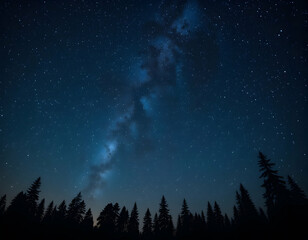 Obraz premium Stargazing at Forest Night Sky with Milky Way View