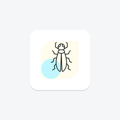 Fototapeta premium Blisteringbeetle, vector, pixel perfect, illustrator file