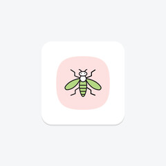 Hoverfly, vector, pixel perfect, illustrator file