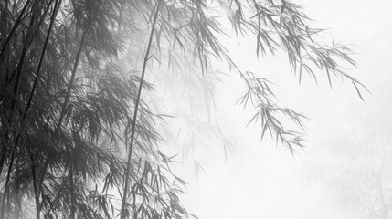 Obraz premium Dense bamboo grove swaying gently in the wind near Hirosaki shrine