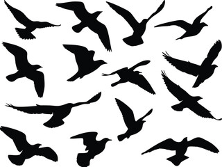 Flock of flying birds silhouette vector, Birds flock Flying in the Sky, transparent background.