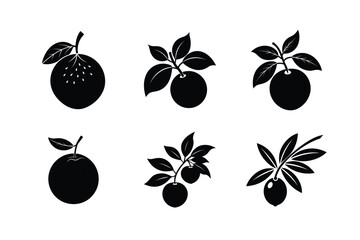 Fruits Silhouette Vector Illustrations Set