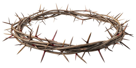 Crown of Thorns PNG – Isolated Transparent Background Image