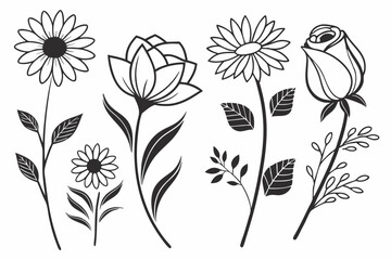 Elegant Floral Designs Black and White Flower Illustrations for Design Projects