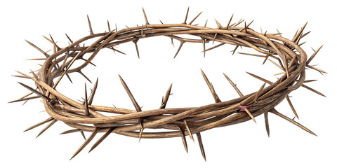 Crown of Thorns PNG &ndash; Isolated Transparent Background Image