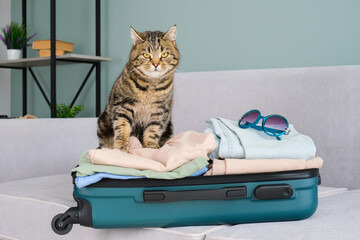The cat is sitting on a suitcase with summer clothes. The concept of traveling with pets