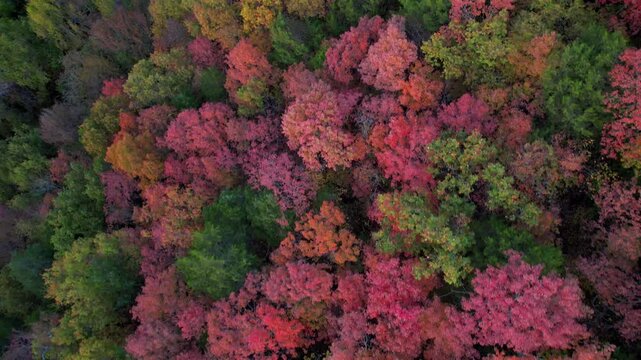 Autumn Skies and Beautiful Landscapes In Branson, Missouri &ndash; 4K Aerial Drone Footage
