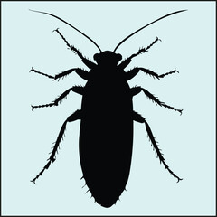 Cockroach Silhouette, Wildlife