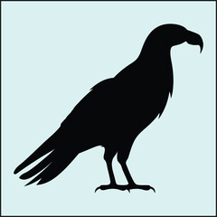 Fototapeta premium Condor Silhouette, Flight