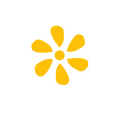 yellow flower on white background