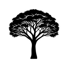 Obraz premium African Tree Silhouette