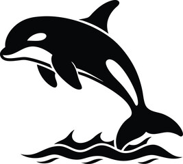 vector illustration of a dolphin