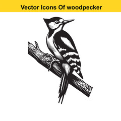 Naklejka premium Woodpecker Vector Line Art – Flying and Perching Bird in Natural Poses, Black and White Outline Illustration