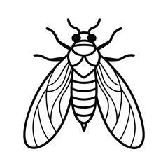 Isolated vector insect illustration showing a bee and wasp with black wings, a close-up detail of nature's fly