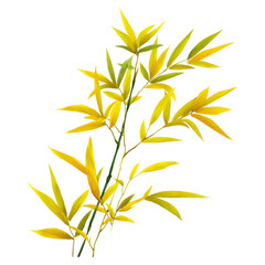 Fototapeta premium Delicate Yellow Bamboo Branch with Lush Green Leaves and Stems, isolated on transparent background.