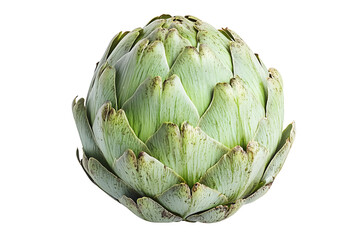 Fototapeta premium Single fresh green artichoke with detailed texture isolated on white transparent background. Concept of healthy eating, organic food, and vegetarian diet