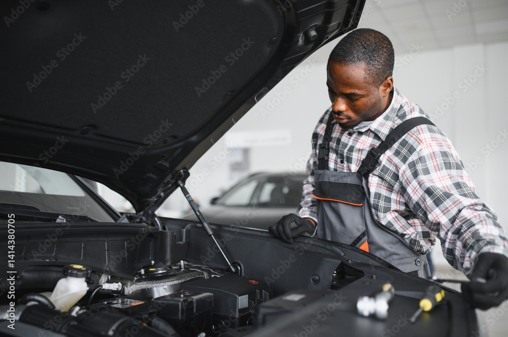 Poster auto mechanic performing a routine service inspection in a service garage